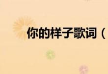 你的樣子歌詞（你的樣子歌詞列述）