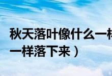 秋天落葉像什么一樣落下來(lái)（秋天落葉像什么一樣落下來(lái)）
