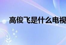高俊飛是什么電視?。ㄖv述了什么故事）