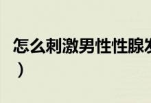 怎么刺激男性性腺發(fā)育（男性生殖器大小標準）