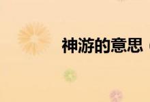 神游的意思（神游什么意思）