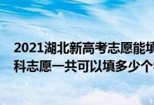 2021湖北新高考志愿能填多少個學校（2022年湖北高考本科志愿一共可以填多少個學校）