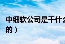 中細軟公司是干什么的（中細軟集團是干什么的）