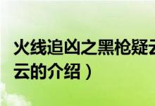 火線追兇之黑槍疑云（關(guān)于火線追兇之黑槍疑云的介紹）