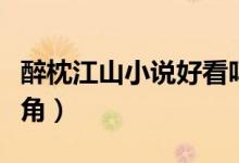 醉枕江山小說(shuō)好看嗎（醉枕江山有多少個(gè)女主角）