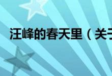 汪峰的春天里（關(guān)于汪峰的春天里的介紹）
