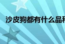 沙皮狗都有什么品種（沙皮狗分多少種?。?class=