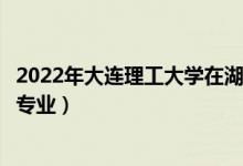 2022年大連理工大學(xué)在湖南招生計(jì)劃及招生人數(shù)（都招什么專(zhuān)業(yè)）