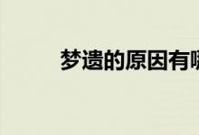 夢遺的原因有哪些（夢遺的原因）