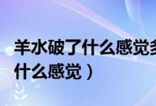 羊水破了什么感覺多久孩子會窒息（羊水破了什么感覺）