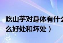 吃山芋對(duì)身體有什么好處和壞處(吃山芋有什么好處和壞處)