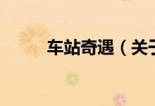 車站奇遇（關(guān)于車站奇遇的介紹）
