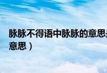 脈脈不得語中脈脈的意思是什么（脈脈不得語的脈脈是什么意思）