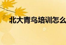 北大青鳥(niǎo)培訓(xùn)怎么樣（學(xué)費(fèi)一年多少錢(qián)）