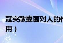 冠突散囊菌對(duì)人的作用(冠突散囊菌對(duì)人的作用)