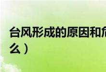 臺風形成的原因和危害（臺風形成的原因是什么）