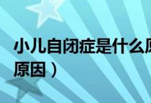 小兒自閉癥是什么原因造成的（造成自閉癥的原因）