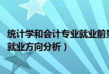 統(tǒng)計(jì)學(xué)和會(huì)計(jì)專業(yè)就業(yè)前景（2022年統(tǒng)計(jì)學(xué)專業(yè)就業(yè)前景和就業(yè)方向分析）