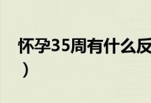 懷孕35周有什么反應(yīng)（懷孕35周有什么反應(yīng)）
