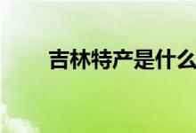 吉林特產(chǎn)是什么（關(guān)于吉林的特色）