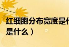 紅細(xì)胞分布寬度是代表什么（紅細(xì)胞分布寬度是什么）