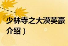 少林寺之大漠英豪（關(guān)于少林寺之大漠英豪的介紹）