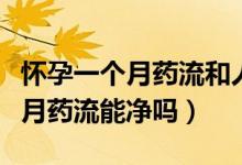 懷孕一個月藥流和人流哪個好一點（懷孕一個月藥流能凈嗎）