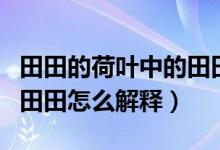 田田的荷葉中的田田是什么意思（荷葉田田的田田怎么解釋）
