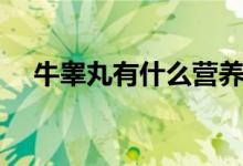 牛睪丸有什么營(yíng)養(yǎng)（牛睪丸有什么作用）