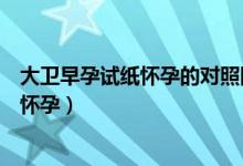 大衛(wèi)早孕試紙懷孕的對照圖(大衛(wèi)早早孕試紙怎么看有沒有懷孕)