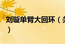 劉璇單臂大回環(huán)（關(guān)于劉璇單臂大回環(huán)的介紹）