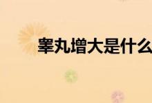 睪丸增大是什么?。úG丸大是病嗎）