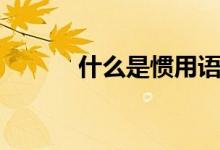 什么是慣用語（什么是慣用語）