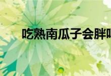 吃熟南瓜子會胖嗎（吃南瓜子會胖嗎）
