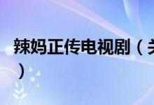 辣媽正傳電視?。P(guān)于辣媽正傳電視劇的介紹）