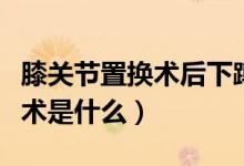 膝關(guān)節(jié)置換術(shù)后下蹲的正確方法（膝關(guān)節(jié)置換術(shù)是什么）