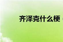 齊澤克什么梗（齊澤克為什么火）