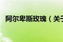 阿爾卑斯玫瑰（關(guān)于阿爾卑斯玫瑰的介紹）