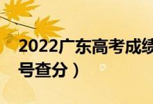 2022廣東高考成績查詢時間是什么時候（幾號查分）