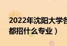 2022年沈陽(yáng)大學(xué)各省招生計(jì)劃及招生人數(shù)（都招什么專業(yè)）