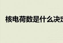 核電荷數(shù)是什么決定的（核電荷數(shù)是什么）
