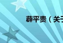 薜平貴（關(guān)于薜平貴的介紹）