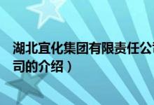 湖北宜化集團(tuán)有限責(zé)任公司（關(guān)于湖北宜化集團(tuán)有限責(zé)任公司的介紹）