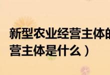 新型農(nóng)業(yè)經(jīng)營(yíng)主體的內(nèi)容是什么（新型農(nóng)業(yè)經(jīng)營(yíng)主體是什么）