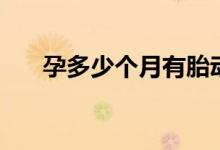 孕多少個(gè)月有胎動(dòng)（孕幾個(gè)月有胎動(dòng)）