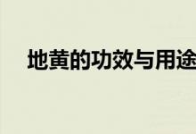地黃的功效與用途（地黃的作用與功效）