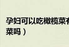 孕婦可以吃橄欖菜有影響嗎（孕婦可以吃橄欖菜嗎）