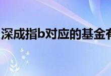 深成指b對應的基金有哪些（深成指B怎么買）
