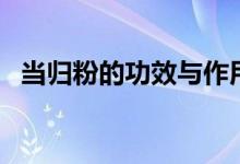 當(dāng)歸粉的功效與作用吃法（當(dāng)歸粉的功效）