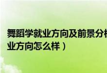 舞蹈學就業(yè)方向及前景分析（2022舞蹈學專業(yè)就業(yè)前景和就業(yè)方向怎么樣）